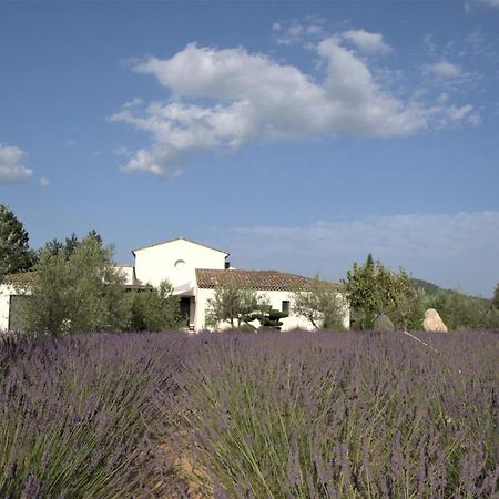 Villa Otilia-Bed And Breakfast-Chambres D'Hotes En Provence Rians  Kültér fotó