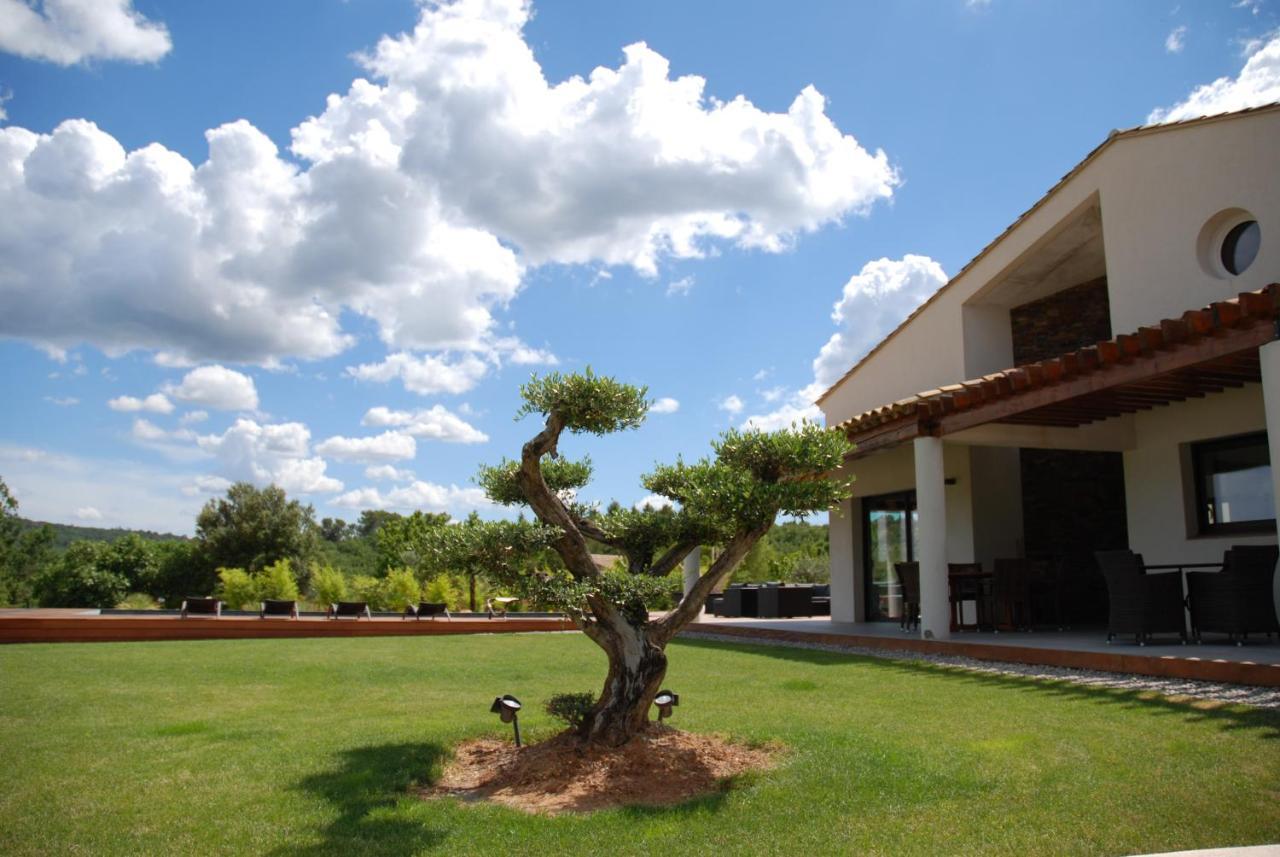 Villa Otilia-Bed And Breakfast-Chambres D'Hotes En Provence Rians  Kültér fotó