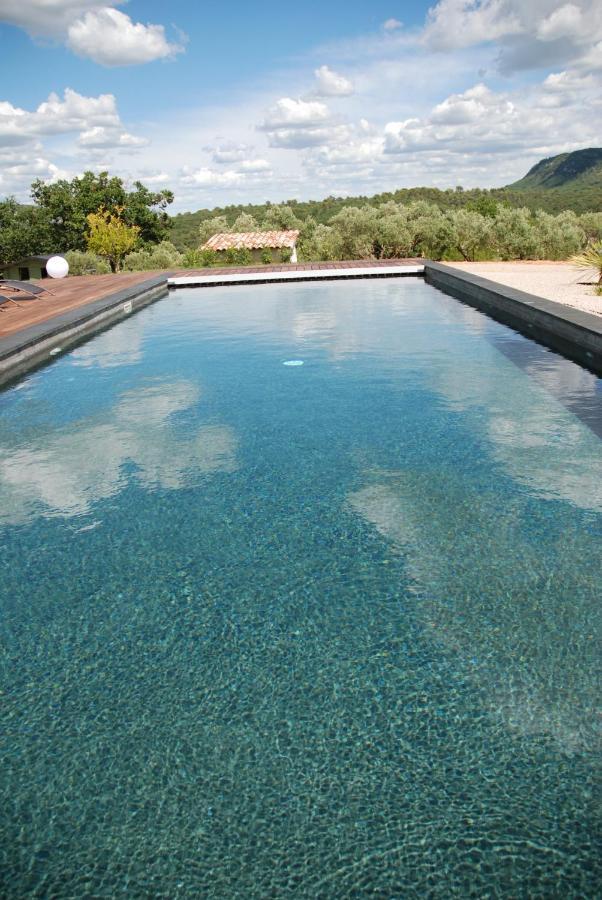 Villa Otilia-Bed And Breakfast-Chambres D'Hotes En Provence Rians  Kültér fotó