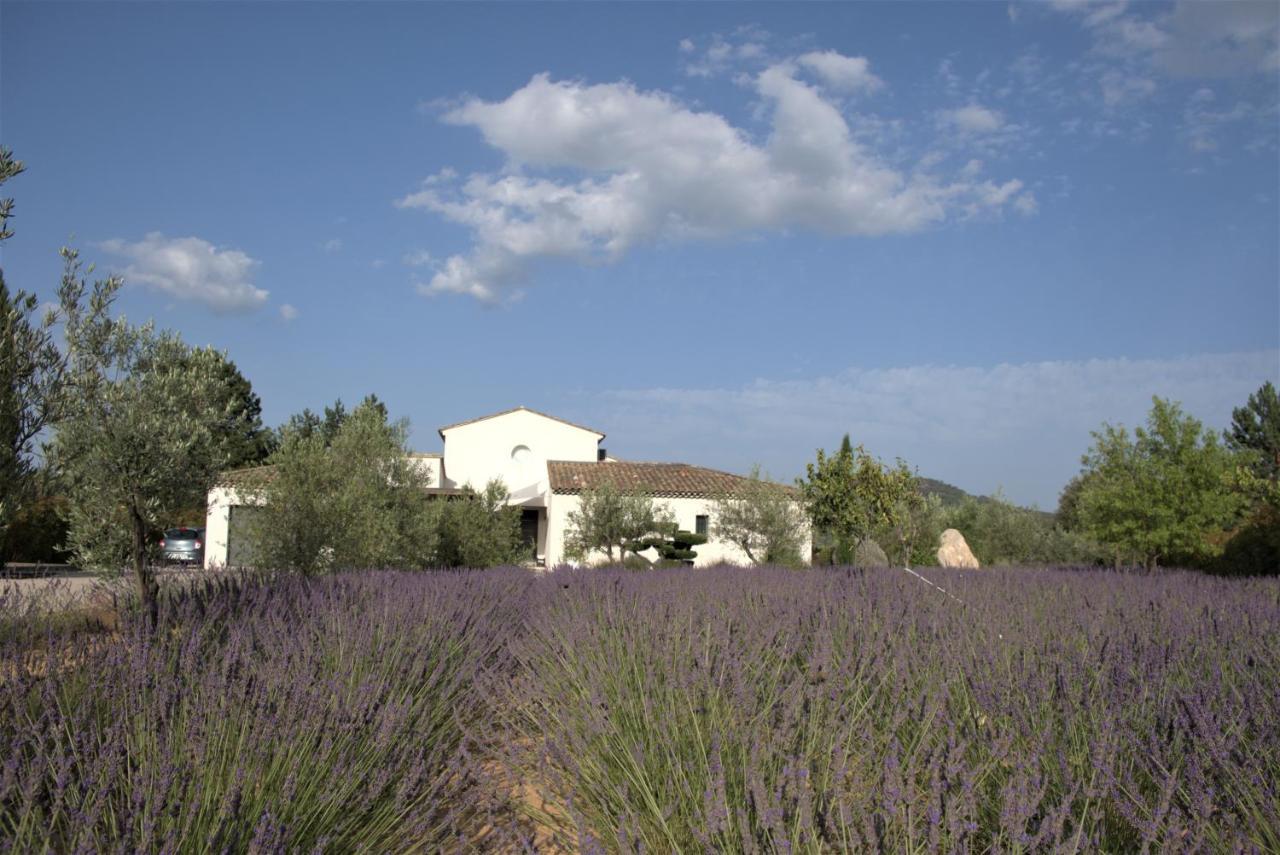 Villa Otilia-Bed And Breakfast-Chambres D'Hotes En Provence Rians  Kültér fotó